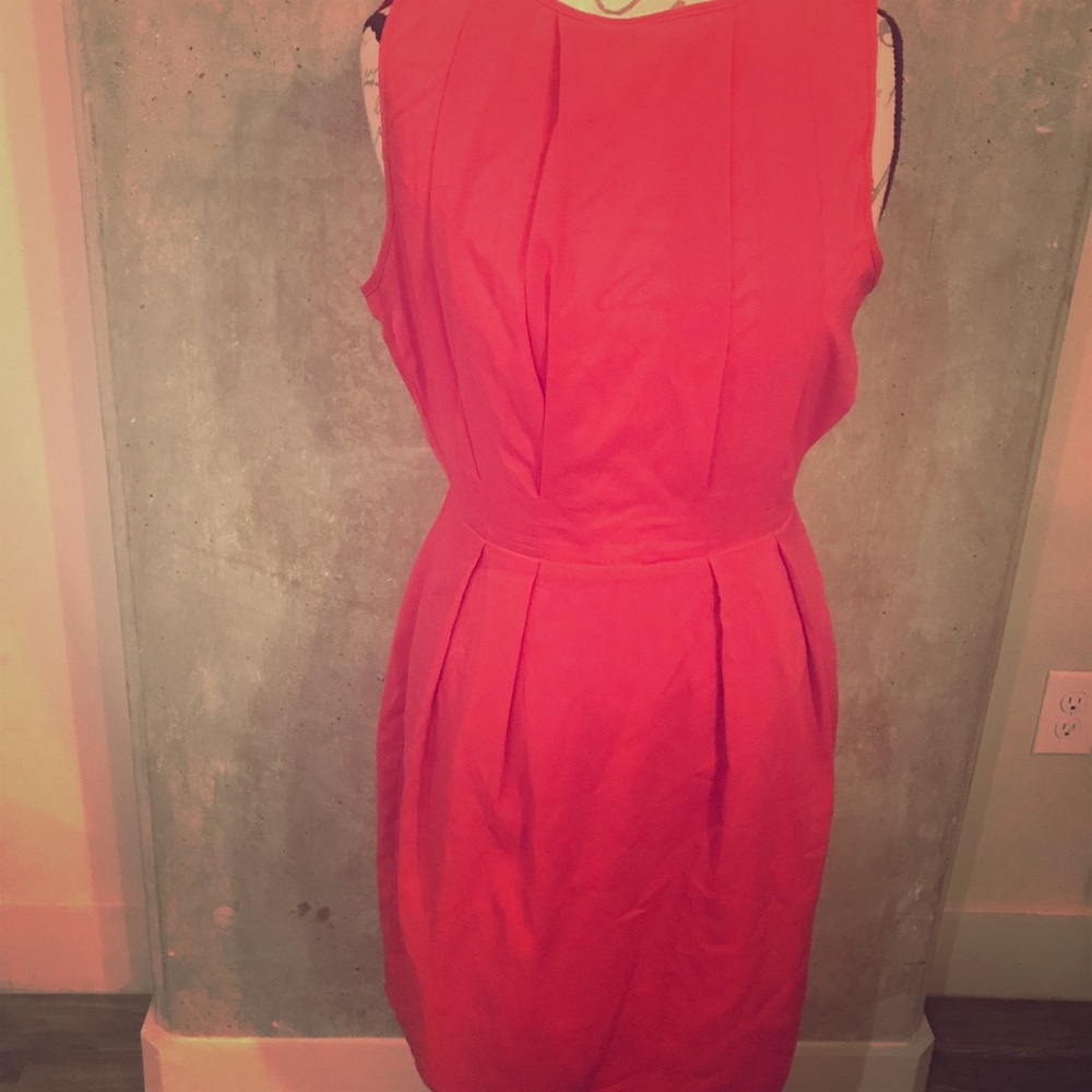 Zara Fuchsia Pink Dress Smart Look Mudo Collection